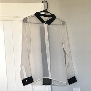 Olive & Oak Sheer Button down Blouse